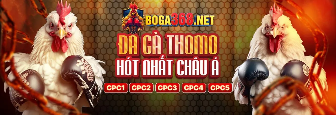 Hình ảnh tổng quan về Chính sách quyền riêng tư của betcom888 trang chủ chính thức